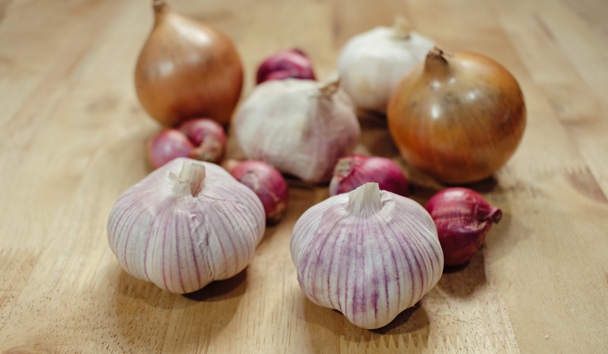 How to Keep Lizards Out of Your House? This Must Be Home