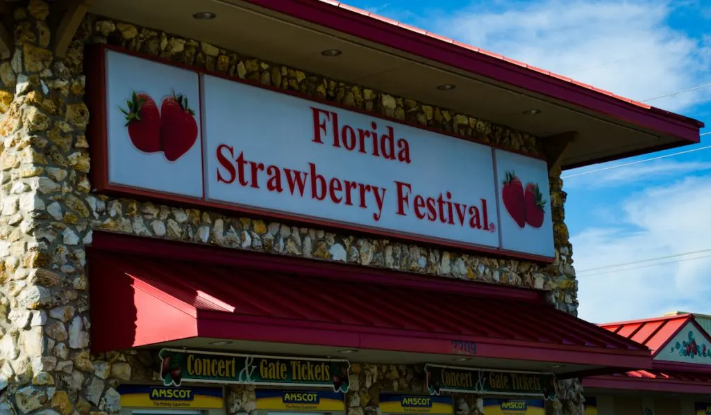 plant city strawberry festival