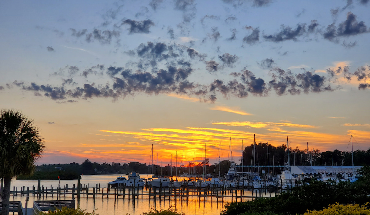 13 Best Places to Live In Tampa, FL This Must