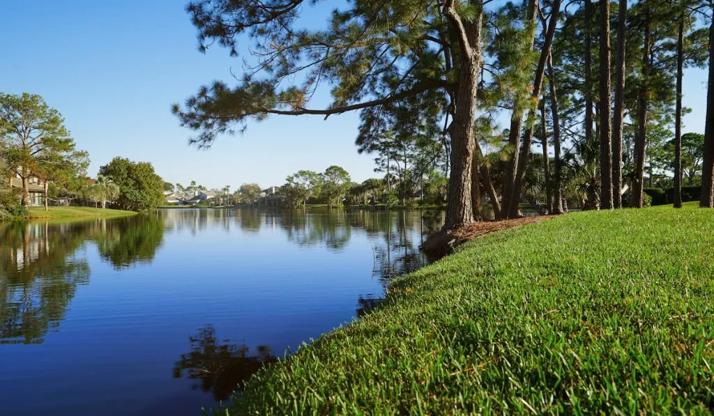 a beautiful lake in florida