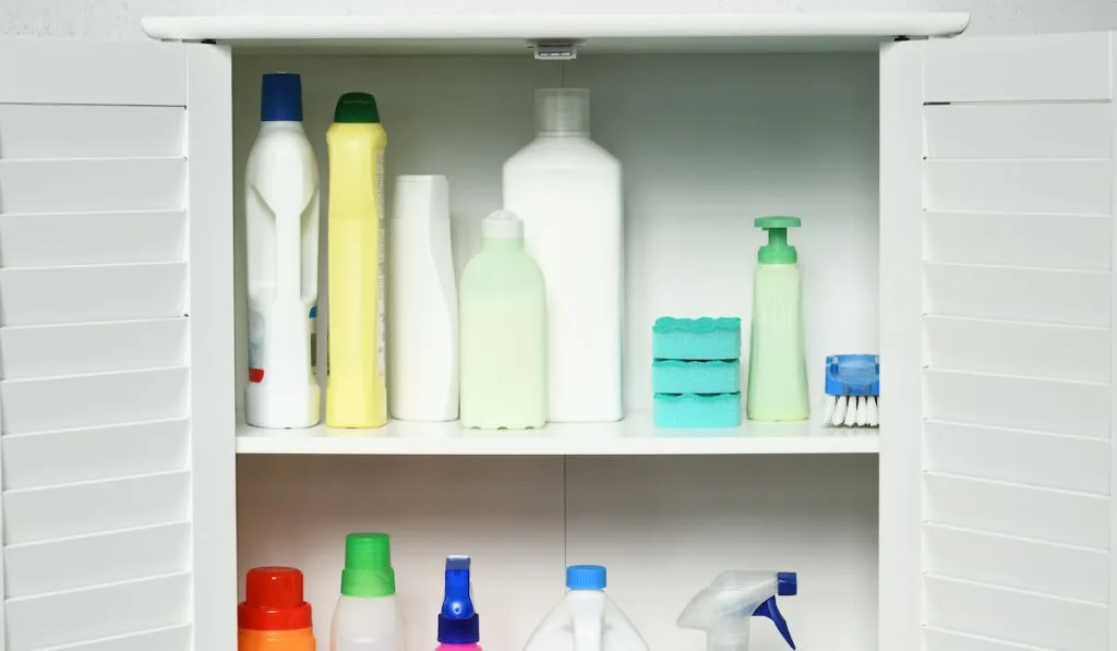 cleaning materials stored in a cabinet