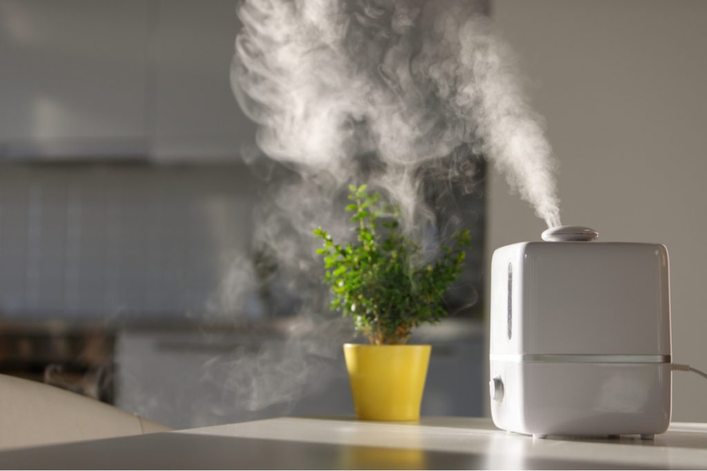 humidifier inside the house