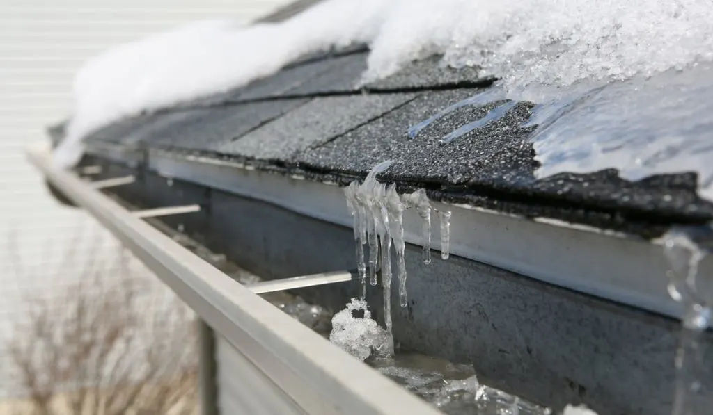 ice on roof and gutter