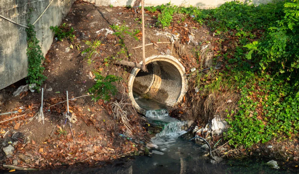 Sewage-or-domestic-waste-water-or-municipal-waste-water