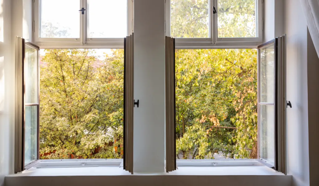 two open white wooden windows