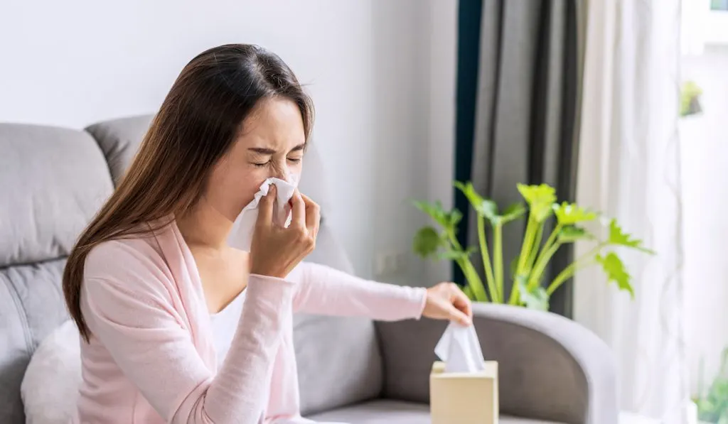 young women feeling unwell because of allergies and sneezing