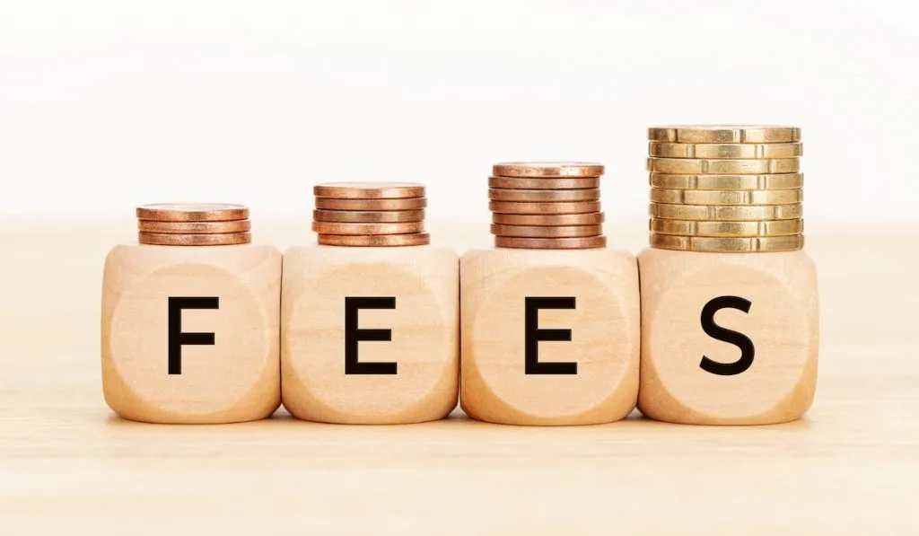 Fees word on Wooden blocks with coins 