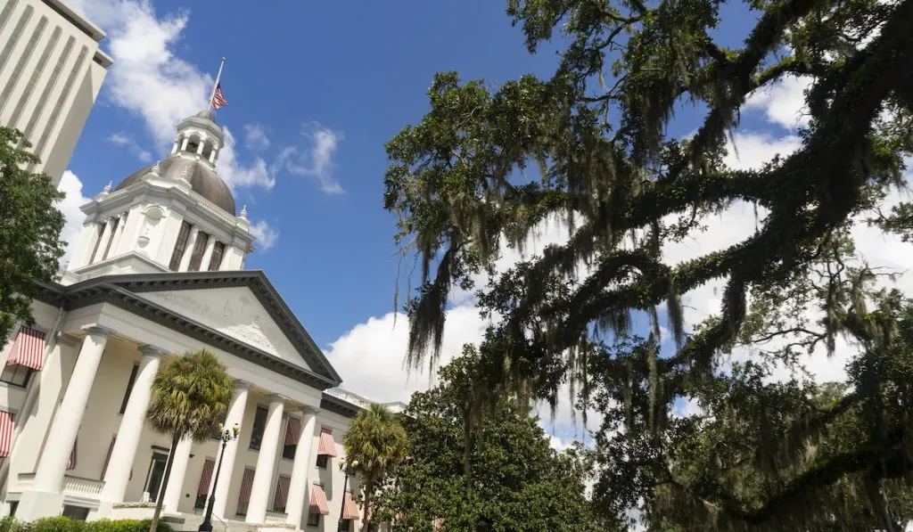 The Florida Statehouse with Blue Skies