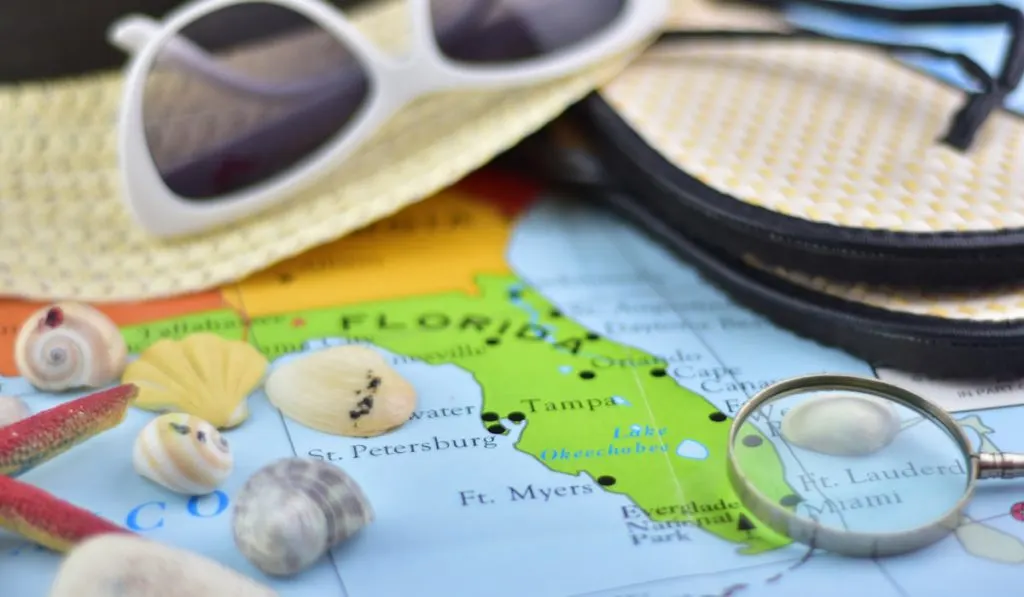 florida map with shells and glasses