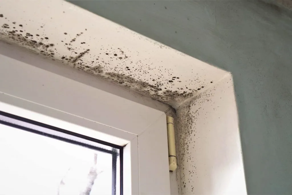  Moisture indoors and the appearance of mold