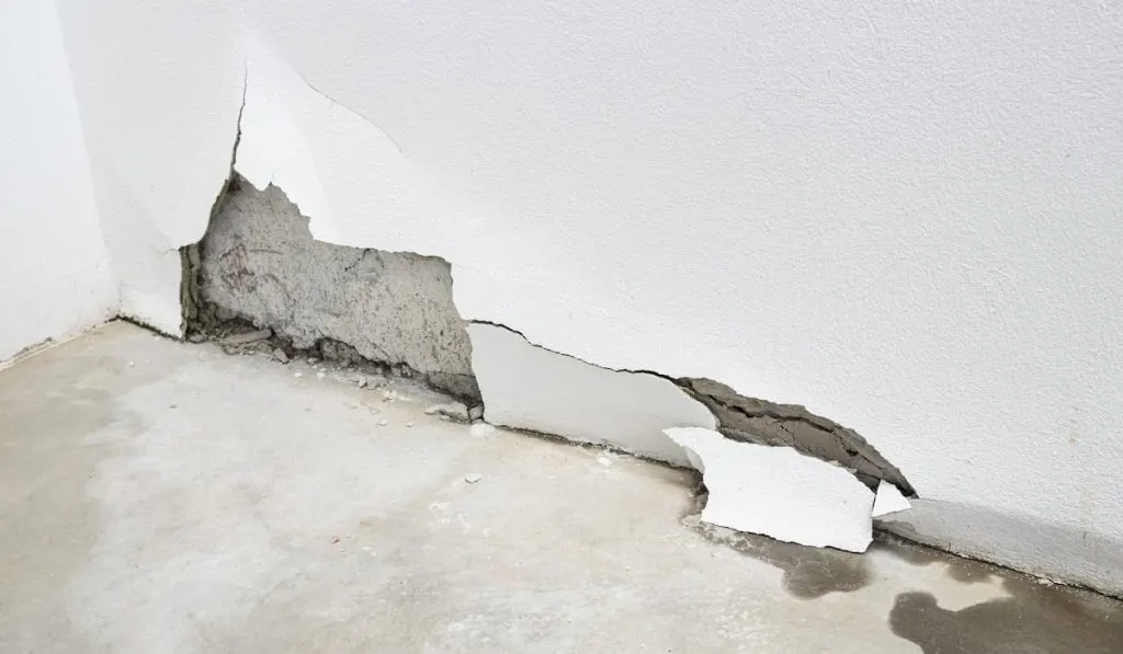 Wall damaged by water leak