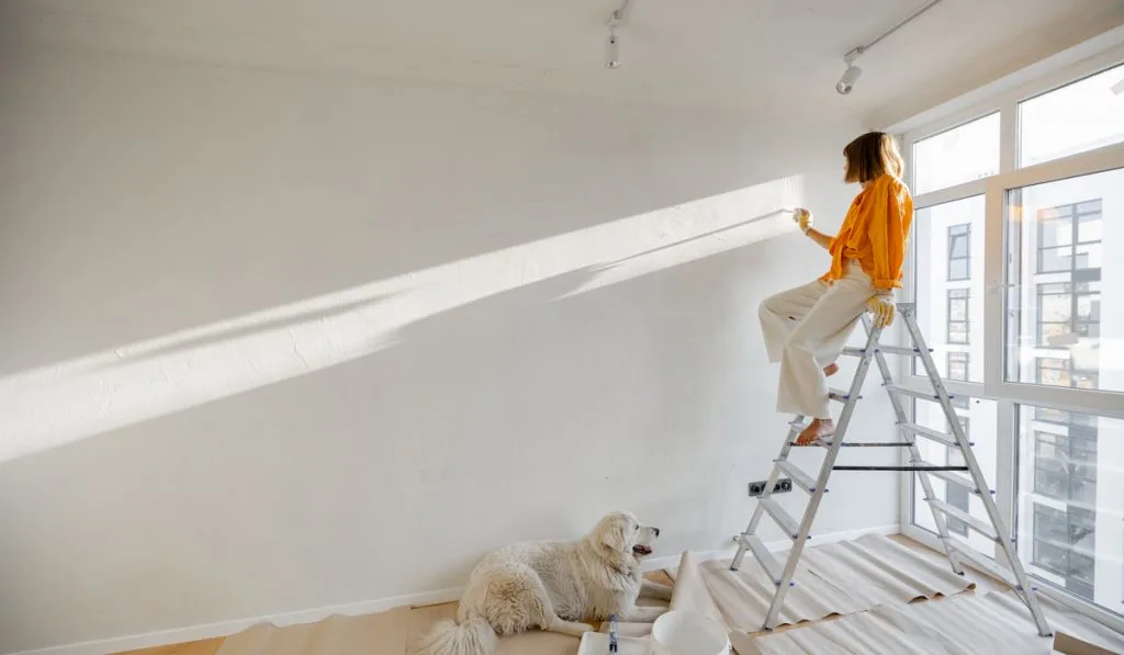 Woman with dog renovating house
