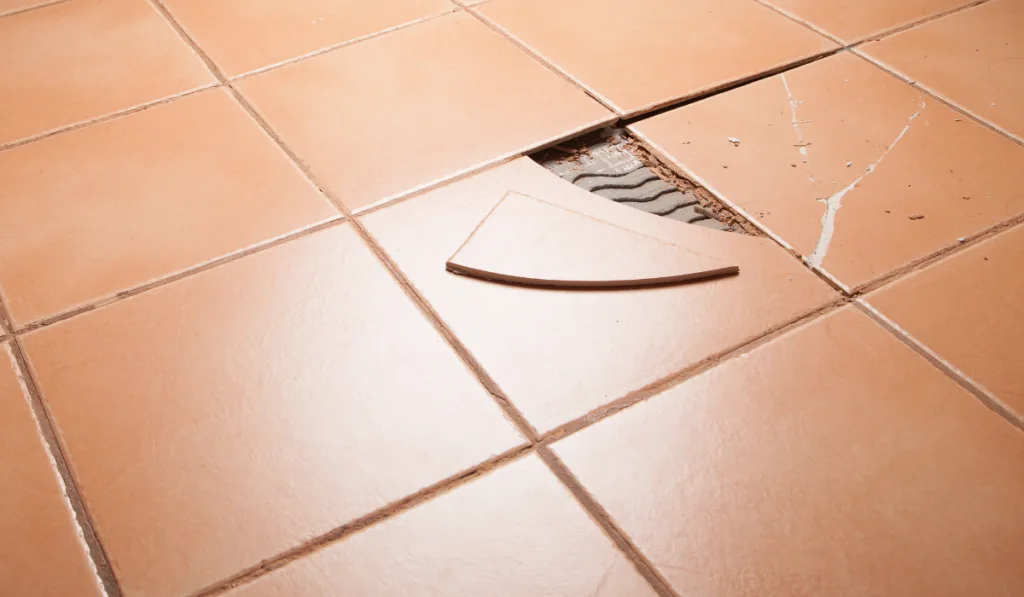 Broken Tiles on Tiled Floor
