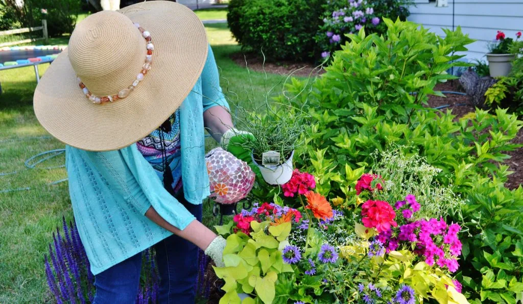 woman planting flower in her backyard garden