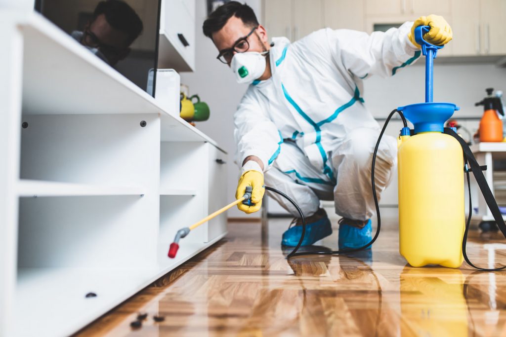 Professional pest control worker in work wear spraying pesticide in the kitchen