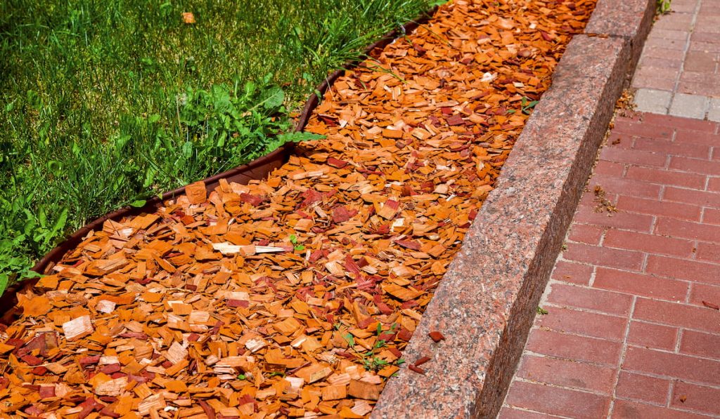 Coniferous pine mulch beside a pathwalk