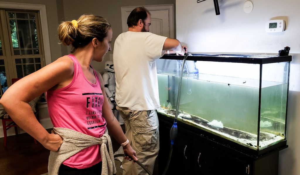 Couple cleaning saltwater fish tank at home