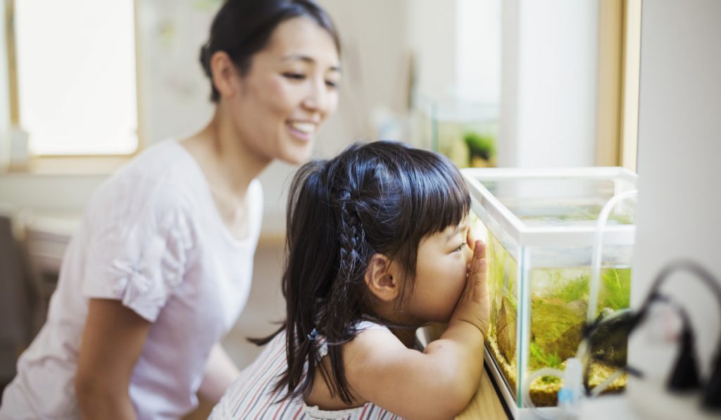 Mother and child looking at the fish in a fish tank