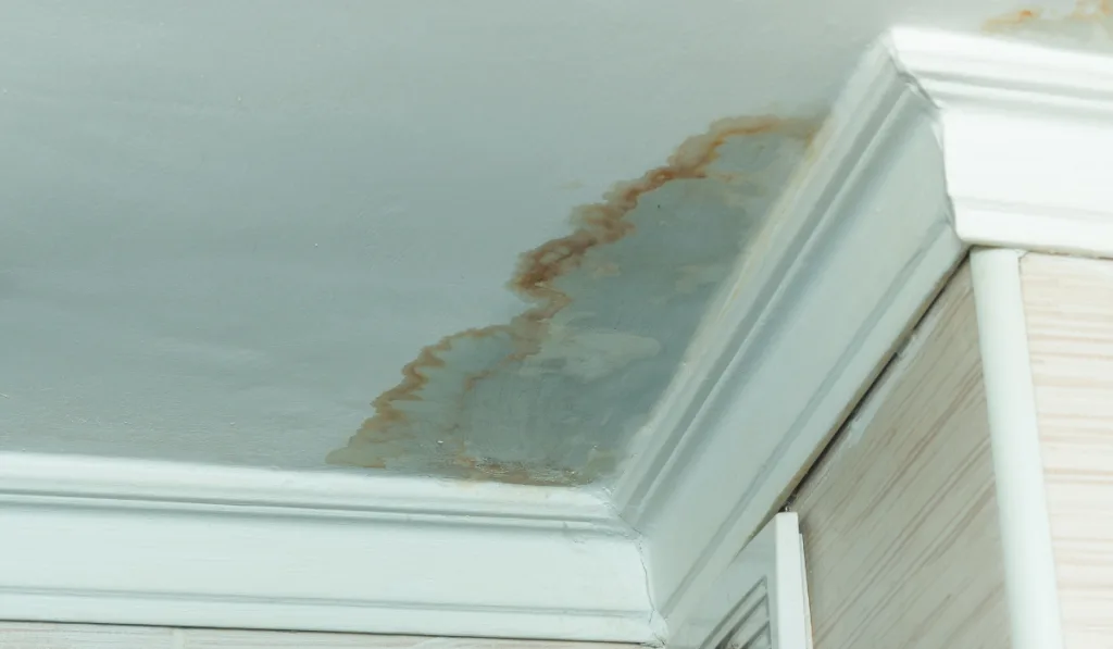 Neighbors have a water leak, water-damaged ceiling, close-up of a stain on the ceiling.