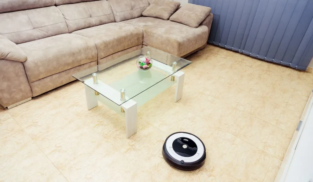 iRobot Roomba in the living room