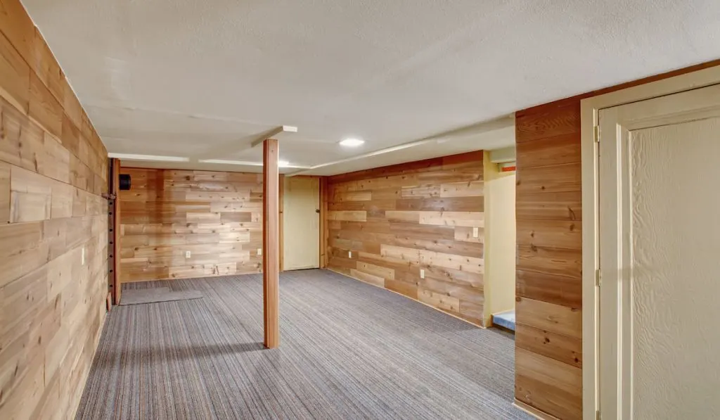 Vintage empty basement room with carpet